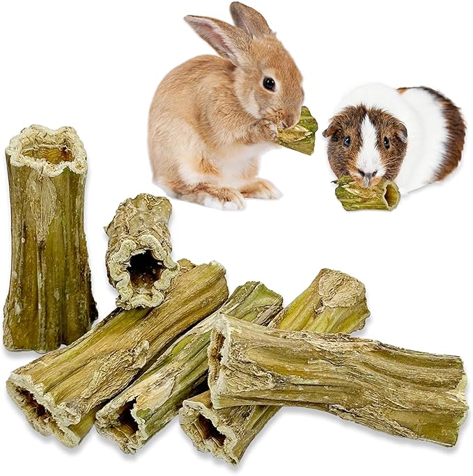 Fhiny Rabbit Chew Toys, 6 PCS 3.9" Natural Papaya Wood Chew Sticks Guinea Pig Treats for Dental Care Bunny Treats for Rabbits Small Pet Molar Snacks for Bunny Guinea Pig Chinchilla Hamster Gerbil-PawvioPets