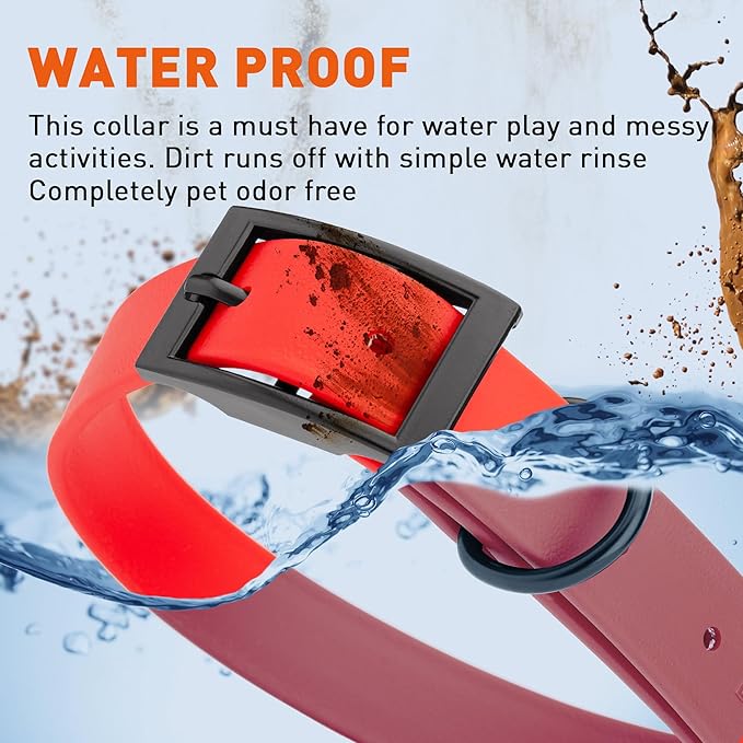 Dogline Biothane Waterproof Dog Collar Strong Coated Nylon Webbing with Black Hardware Odor- Proof for Easy Care Easy to Clean High Performance Fits Small Medium or Large Dogs, Cherry Red-PawvioPets