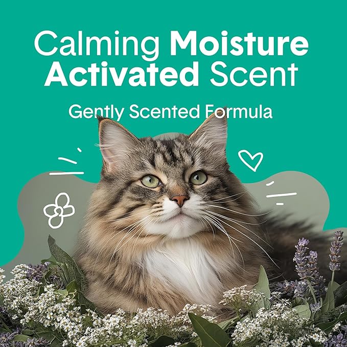 Boxiecat Gently Scented Premium Clumping Clay Cat Litter, 28-Pounds-PawvioPets