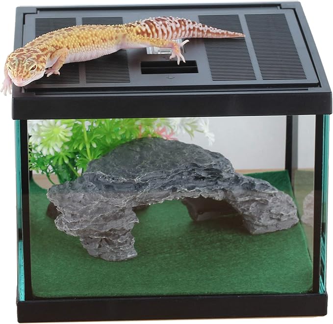 crapelles Glass Lizard Tank, Spider Box Kit, 7.8x7.8x5.9'' Tarantula Feeder Insects Beetle Habitat, Amphibians Terrarium for Small Pet, with Washable Mat, Resin Rock Shape Hideout, Artificial Flower-PawvioPets