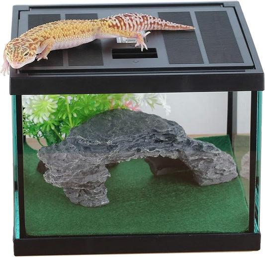 crapelles Glass Lizard Tank, Spider Box Kit, 7.8x7.8x5.9'' Tarantula Feeder Insects Beetle Habitat, Amphibians Terrarium for Small Pet, with Washable Mat, Resin Rock Shape Hideout, Artificial Flower-PawvioPets