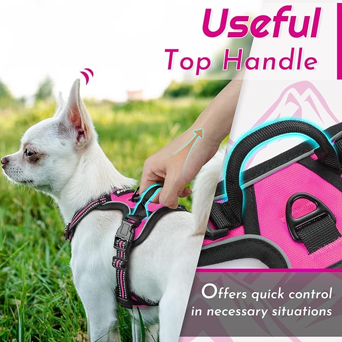 Eagloo Small Dog Harness No Pull, Service Vest with Reflective Strips and Control Handle, Adjustable and Comfortable for Easy Walking, No Choke Pet Harness with 2 Metal Rings, Rose Red, XS-PawvioPets