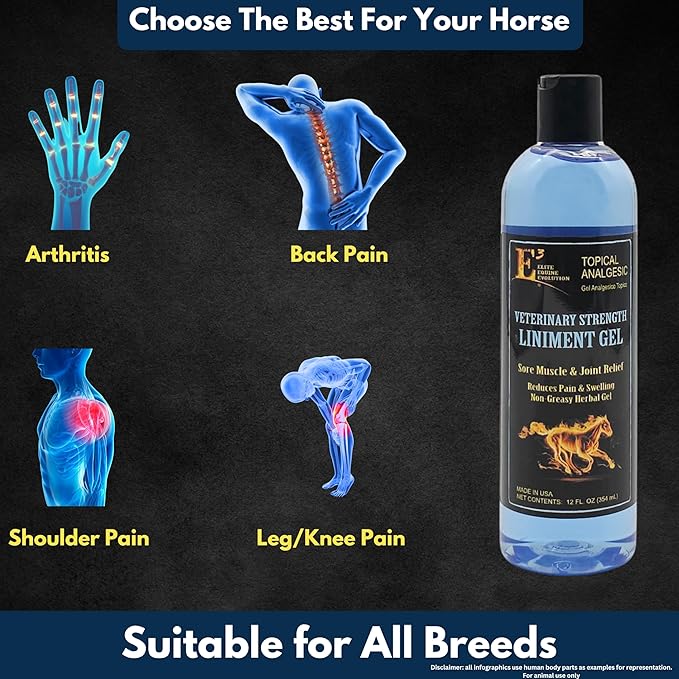 E3 Veterinary Strength Liniment Gel for Sore Muscle & Joint Relief - Reduces Pain & Swelling - Horse Liniment for Humans & Pets - Arthritis Aid - Non-Greasy Herbal Formula- Topical Analgesic-PawvioPets