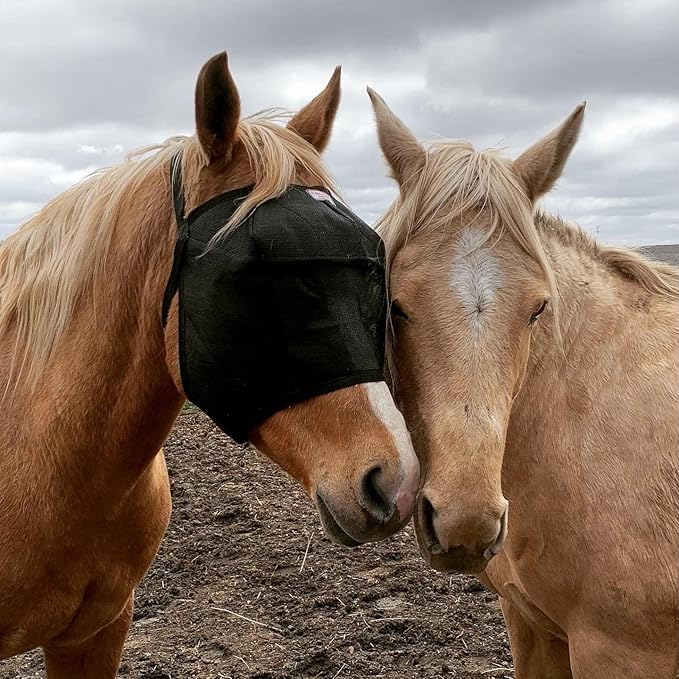 EquiVizor 95% UV Eye Protection (COB) Standard Horse Fly Mask - Help with Uveitis, Corneal Ulcer, Light Sensitivity. Designed to Stay On Your Horse, Off The Ground.-PawvioPets