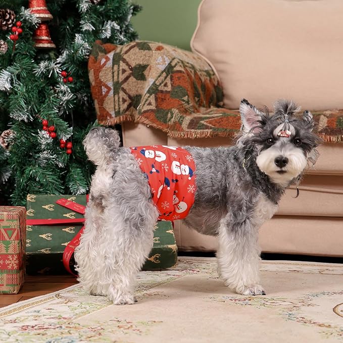 CuteBone Dog Diapers Male Belly Bands 3 Pack for Male Dogs Reusable Puppy Wraps DM62XS-PawvioPets