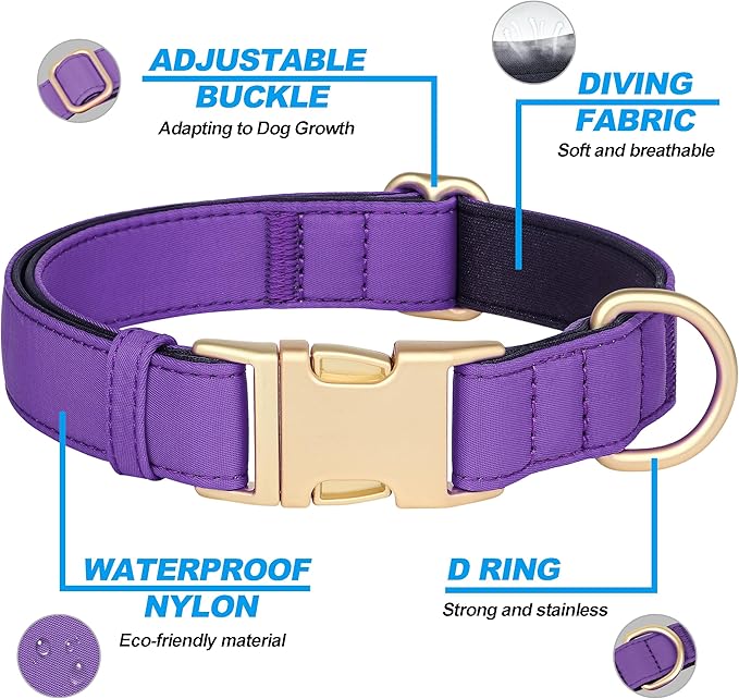 Didog Soft Padded Dog Collar for Large Dogs, Colorful and Durable Pet Collar with Quick Release Buckle, Light and Breathable for Daily Walking, Purple, L-PawvioPets