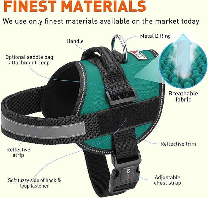 Dogline Dog Harness, Reflective No-Pull Adjustable Vest with Handle for Walking, Training, Breathable, No - Choke Harness for Small, Medium or Large Dogs Room for Patches Girth 15 to 18 in Turquoise-PawvioPets