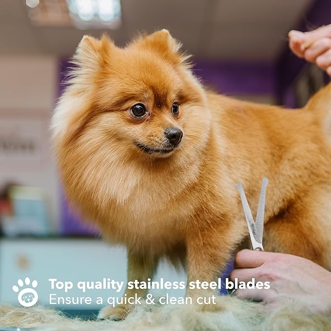 BOSHEL Dog Grooming Scissors for Dogs at Home (2 Pc) - Razor Sharp Stainless Steel Dog Scissors for Grooming - Professional Pet Scissor Set for Dogs & Cats - Best Pet Shears with Rounded Safety Tips-PawvioPets