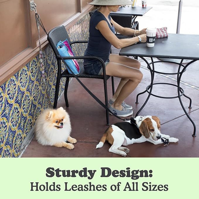 Canine Hitch- Secure Dog Leash Parking Wall Large Hook with Clip 6 Pack - Tie Out Stainless Steel & ABS Mounting Plate for Strength - Practical Lead Management for Home & Business-PawvioPets