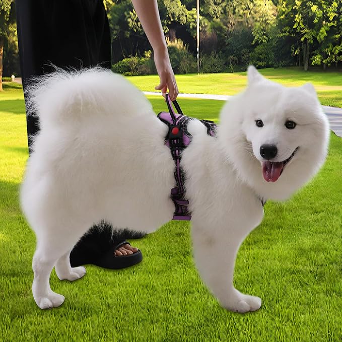 Dog Harness, Adjustable Reflective Dog Vest No Pull Dog Harness with Badge and Bow Tie for Puppy Small Medium Large Dogs-PawvioPets