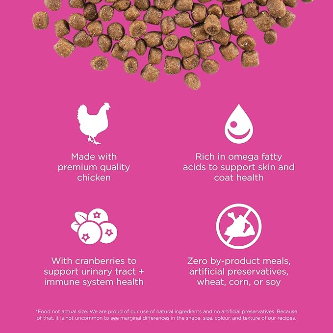 Go! Solutions Skin + Coat Care, Dry Cat Food, Chicken Recipe with Grains, 8 lb Bag-PawvioPets