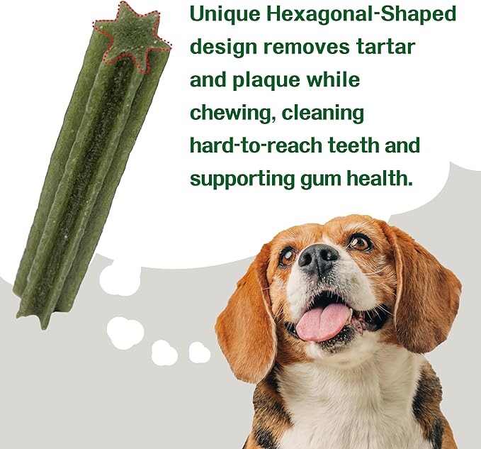 Afreschi Turkey Dental Sticks for Dogs, 2.2 lb – All Natural Dog Chews, USA-Sourced Trukey, Hypoallergenic, Long-Lasting Chew for Puppies and Adult Dogs, Grain-Free, Signature Series-PawvioPets