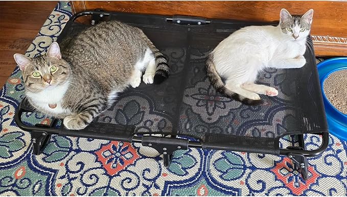 Elevated Dog Bed, Foldable Raised Dogs Bed Outdoor Dog Cots Beds for Large Dogs Cooling Outside Camping Chew-Proof No Assembly Need, Black-PawvioPets