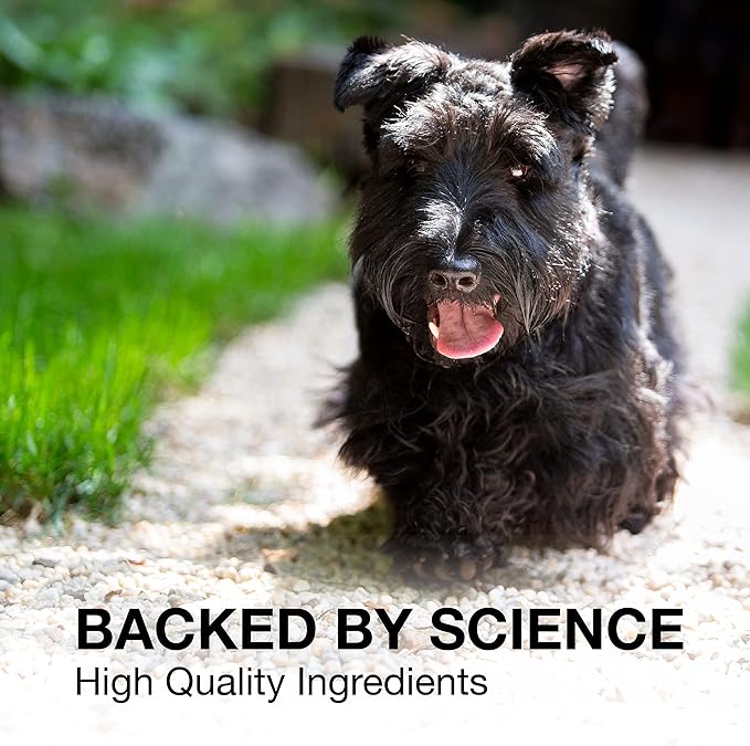 Nutramax Denosyl Liver and Brain Health Supplement for Medium Dogs - With S-Adenosylmethionine (SAMe), 30 Tablets-PawvioPets