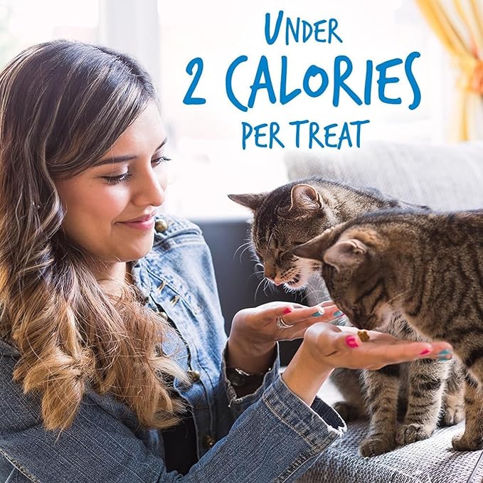 Fruitables Crunchy Low Calorie Treats Packed with Protein For Cats Healthy Free of Wheat, Corn and Soy – Made with Real Chicken with Blueberry – 2.5 Ounces-PawvioPets