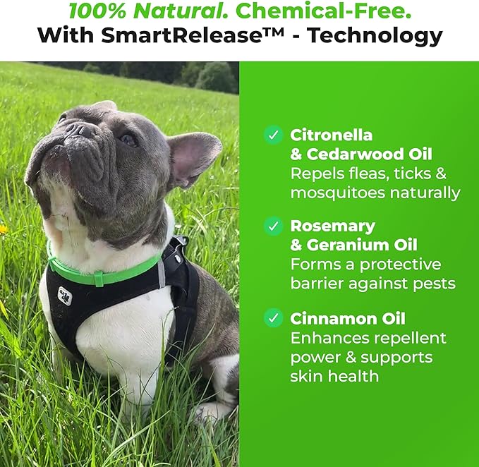 FurLife Flea and Tick Collar for Dogs – Waterproof Green Dog Collar, Pet Supplies for Tick and Flea Prevention for Dogs, Safe for All Breeds-PawvioPets