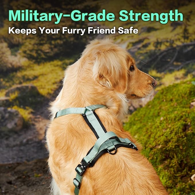 CLEPAWS Dog Harness for Large Dogs, No Pull Dog Harness Easy Walk with Metal Hardware, Ergonomic Y-Shaped Design, Soft Padding, Padded Handle, Durable High-Tensile Nylon (Seabreeze, L)-PawvioPets