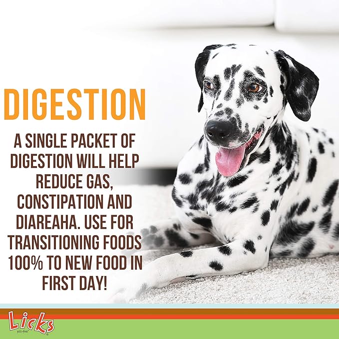 Dog Digestion - Dog Gut Health and Gas Relief - Bloating Relief and Digestion Supplement for Dogs - Dog Health Supplies - Gel Packets - 30 Use-PawvioPets