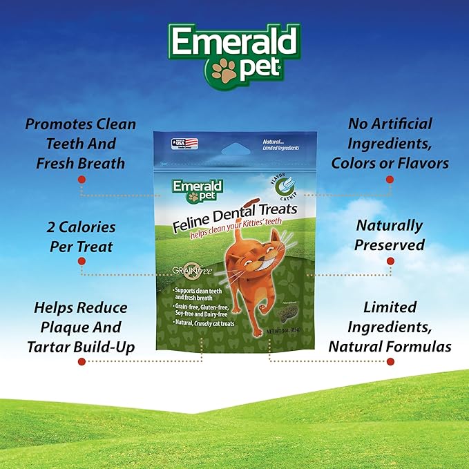 Feline Dental Treats — Tasty and Crunchy Cat Dental Treats Grain Free — Natural Dental Treats to Clean Cat Teeth, Freshen Cat Breath, and Reduce Plaque and Tartar Buildup — Catnip Treats, 3 oz-PawvioPets