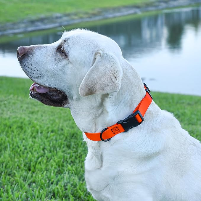 Dogline Biothane Waterproof Dog Collar with Quick Release Buckle Strong Coated Nylon Webbing with Odor- Proof for Easy Care Easy to Clean Fits Small Medium or Large Dogs, Orange 3/4" W 12-19" L-PawvioPets
