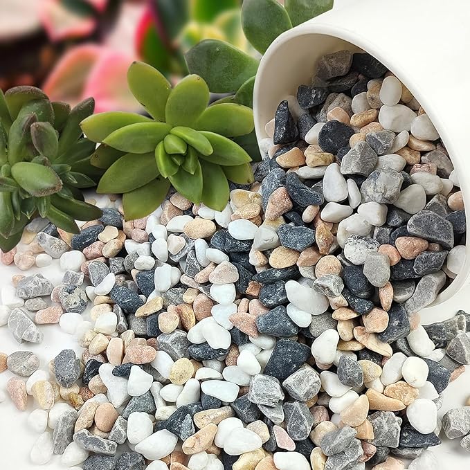5 lbs Succulent and Cactus Pebbles for Indoor Plants, 3/8 Inch Pea Gravel Decorative River Rocks for Plants, Vases, Terrarium, Aquarium, Potted Top Dressing and Outdoor Landscaping Stones-PawvioPets