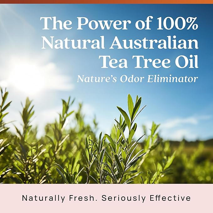 Azuna Air Freshener & Odor Eliminator for Strong Odor | 2 Room Kit Includes (2) Empty Luxe Glass Jar & 12oz Gel Refill with Tea Tree Essential Oil | Sandalwood Scent | Last 60-90 Days-PawvioPets