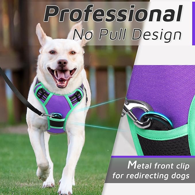 Eagloo Dog Harness for Large Dogs, No Pull Service Vest with Reflective Strips and Control Handle, Adjustable and Comfortable for Walking, No Choke Pet Harness with 2 Metal Rings, Purple & Green, L-PawvioPets