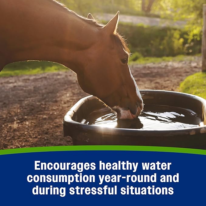 Farnam Apple Elite Electrolyte Supplement for Horses, Replaces Vital Minerals, Encourages Hydration, No Added Sugar, 7.5 lb, 40 Day Supply-PawvioPets