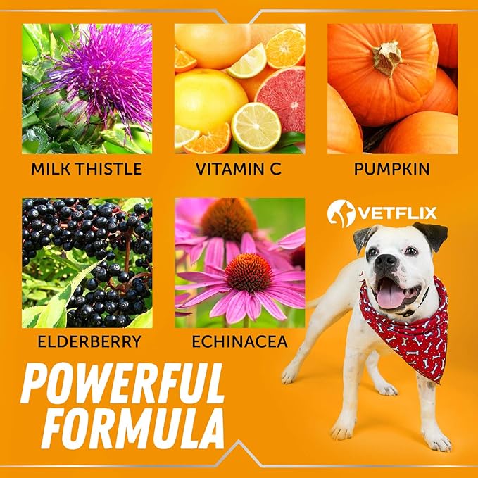 Allergy Immune Anti Itch & Hot Spots - Made in USA Natural Pet Supplement for Cat & Dog Allergy Relief with Turmeric & Milk Thistle -Seasonal Allergies Digestive Treatment for Dogs & Cats - 2 Fl Oz-PawvioPets