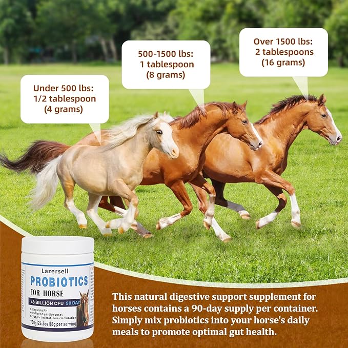 Probiotics for Horses Dietary Supplement, All-Natural Digestive System Maintenance Formula Equine Digestion Support Horse Health Supplements (90 Days)-PawvioPets