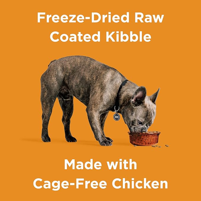 BIXBI Rawbble Dry Dog Food, Chicken, 24 lbs - USA Made with Fresh Meat - No Meat Meal & No Corn, Soy or Wheat - Freeze Dried Raw Coated Dog Food - Minimally Processed for Superior Digestibility-PawvioPets