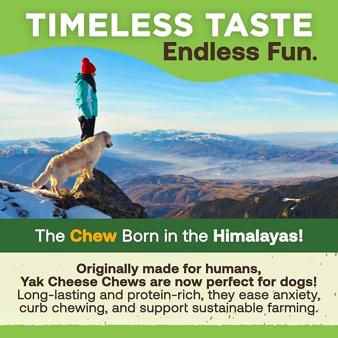 EcoKind Himalayan Gold Yak Cheese Chew for Small Dogs, Healthy Treats, Odorless, Long Lasting Bones, Rawhide Free, Made in The Himalayans, Small (Pack of 4)-PawvioPets