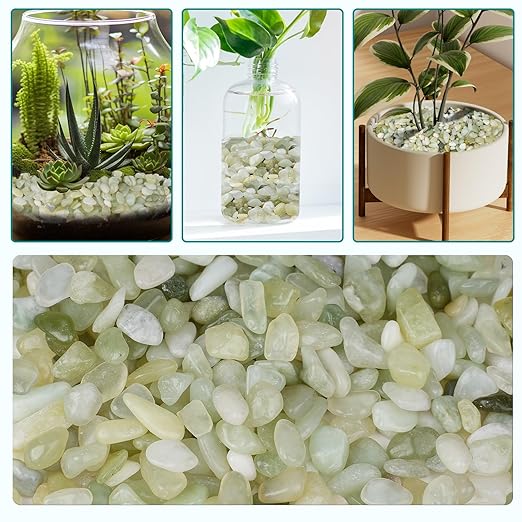 2.5 lbs Jade Pebbles for Indoor Plants, 1/5 Inch Succulent and Cactus Pebbles, Decorative Gravel for Vases, Bamboo,Terrarium, Crafts, Cactus-PawvioPets