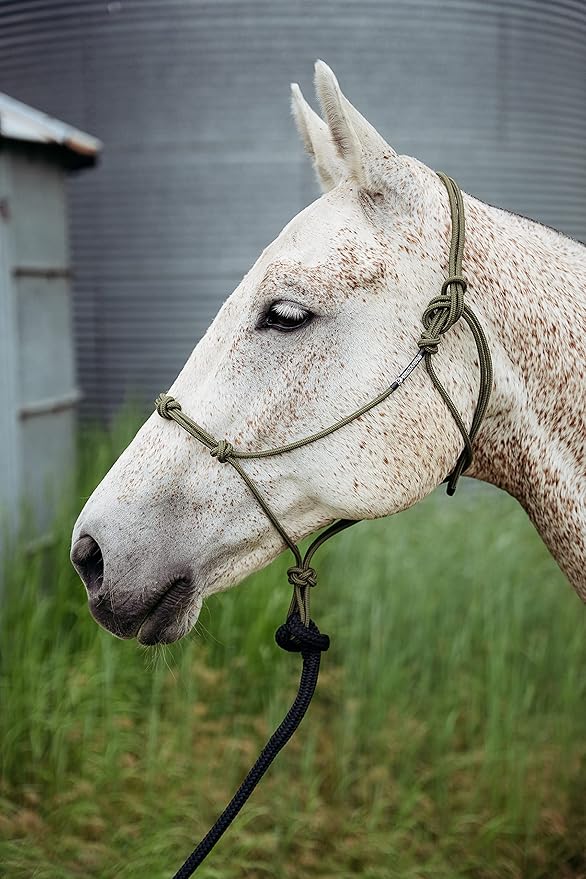 Double Braid Lead Rope with Eye Splice Loop, 12-14FT Lengths (Pink, 12 ft.)-PawvioPets