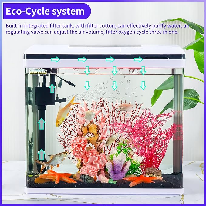 Glass Aquarium Fish Tank Starter Kit with Temperature and Time Display for Betta Fish Featuring Crystal Clear 360° Viewing, Eco-Cycle Filtration, Air Pump 12 Gallon-PawvioPets