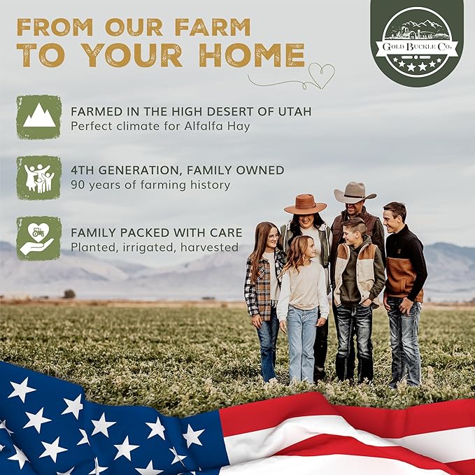 10lb Freshly Dried Organic Alfalfa Hay for Guinea Pigs, Rabbits, Chinchillas, Goats, Hamsters & Ferrets, Small Animal Food Rich in Protein & Fiber, Hand-Selected, Hand sorted, USA Grown-PawvioPets