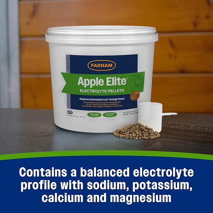 Farnam Apple Elite Electrolyte Supplement for Horses, Replaces Vital Minerals, Encourages Hydration, No Added Sugar, 7.5 lb, 40 Day Supply-PawvioPets