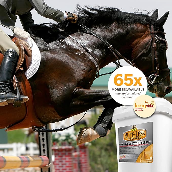 Absorbine Bute-Less Performance Advanced Formula Horse Supplement Pellets, Supports Healthy Inflammatory Response & GI Tract, 3.75lb Tub / 30 Day Supply-PawvioPets