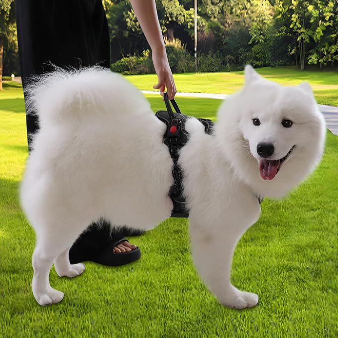 Dog Harness, Adjustable Reflective Dog Vest No Pull Dog Harness with Badge and Bow Tie for Puppy Small Medium Large Dogs-PawvioPets