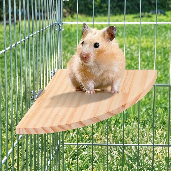 Bird Perch Platform Stand Wooden Parrot Perch Corner 6.7 Inches Fan Shape Playground Cage Accessories Parrot Stand Flat Perches for Bird Cages Corner Shelf for Birds Parrots Hamster Gerbil-PawvioPets