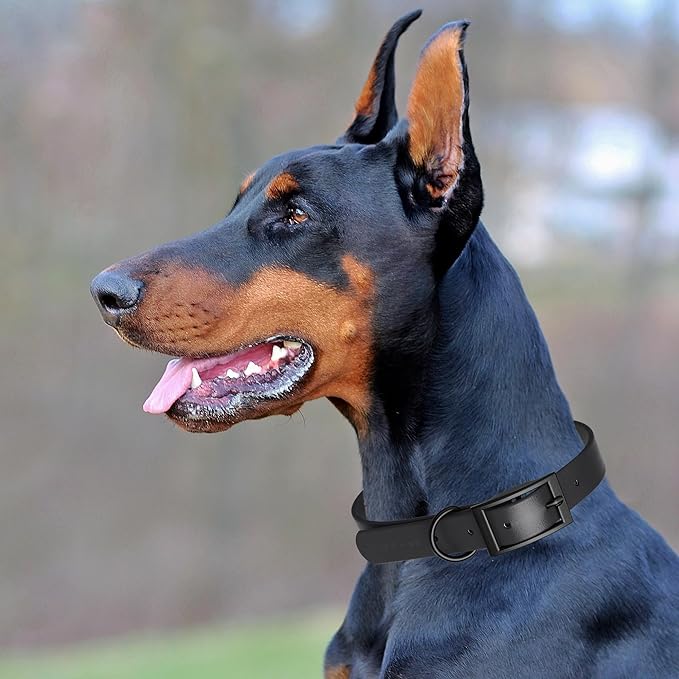 Dogline Biothane Waterproof Dog Collar Strong Coated Nylon Webbing with Black Hardware Odor- Proof for Easy Care Easy to Clean High Performance Fits Small Medium or Large Dogs, Black-PawvioPets