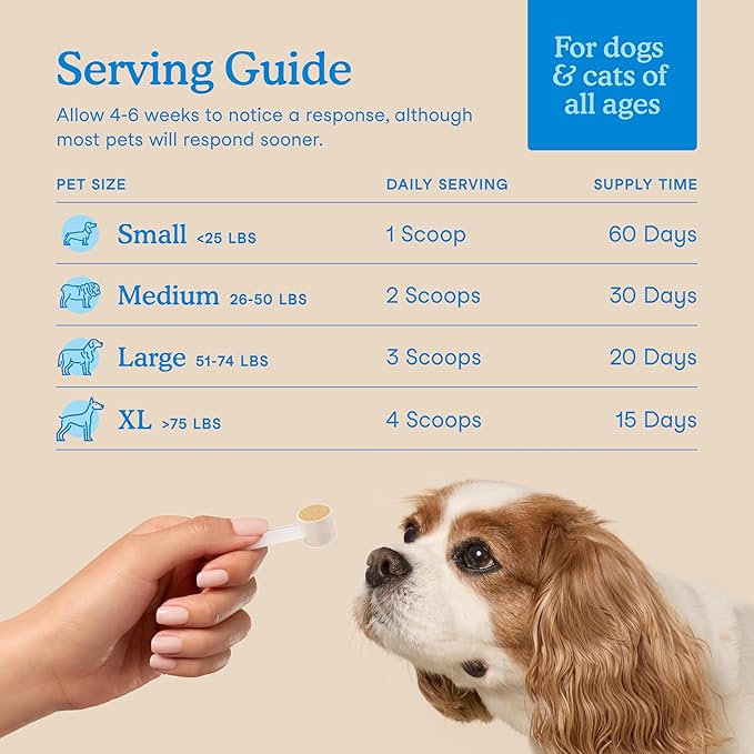 Fera Pets Cat & Dog Dental Support Powder - Supports Fresh Breath - Promotes Healthy Teeth and Gums - Targets Tartar Build-Up - Includes Kelp, Enzymes & Postbiotics - 60 Scoops-PawvioPets