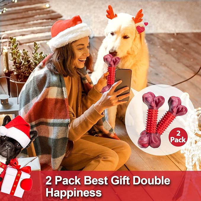 Apasiri Tough Dog Toys for Aggressive Chewers Large Breed, 2-Pack Dogs Chew Toys for Large Medium Dogs, Nylon and Rubber Dog-Bones for Teething Chew, Beef Flavor, for Doggo 20-75 lbs-PawvioPets