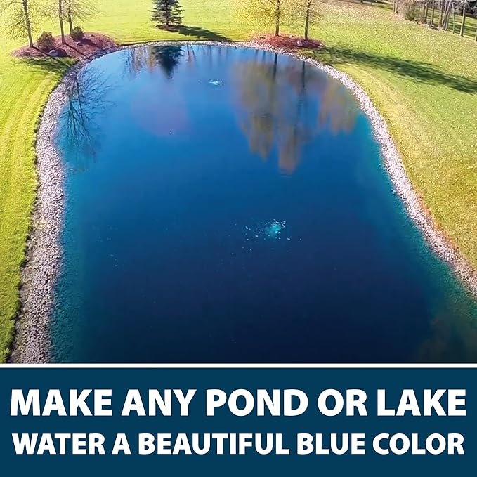 Airmax Black DyeMond Pond Dye 4X Concentrate for Outdoor Ponds & Lakes, Natural Pond Colorant & Beauty Enhancer, Block Ultraviolet Rays, Fish, Bird & Livestock Safe, Easy Liquid Application, 1 Quart-PawvioPets