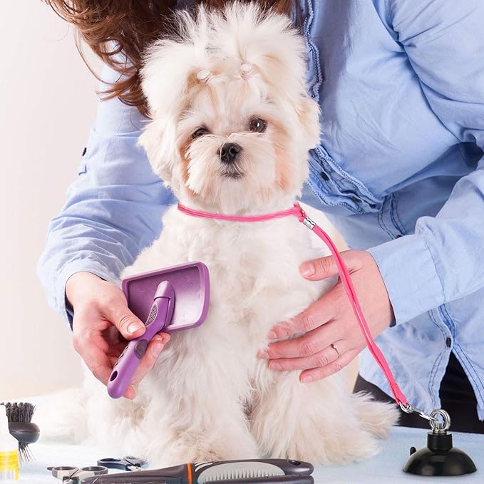 Frienda 4 Pieces Dog Bathing Tether with Suction Cup Pet Dog Grooming Tub Restraint Loops and Adjustable Cat Fixed Safety Rope for Pet Shower Bathing Grooming(Blue Black Pink)-PawvioPets