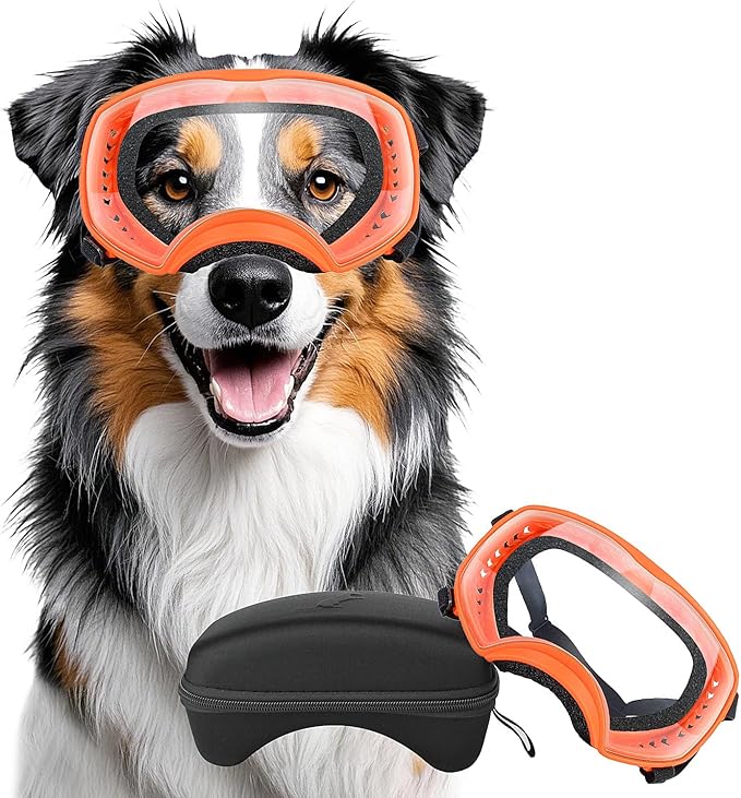 Dog Sunglasses UV Protection Clear Dog Goggles Windproof Glasses with Elastic Straps for Medium-Large Breed, Orange Frame + Clear Lens-PawvioPets