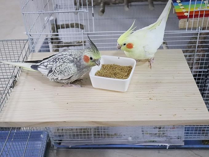 21.7 × 13.8 Inches Large Bird Perch Stand Platform, Natural Wooden Small Animals Cage Accessories, Rectangle Stand Perch Shelf for Parrot Parakeet Cockatiel Rat Hamster Guinea Pig Conure Chinchillas-PawvioPets