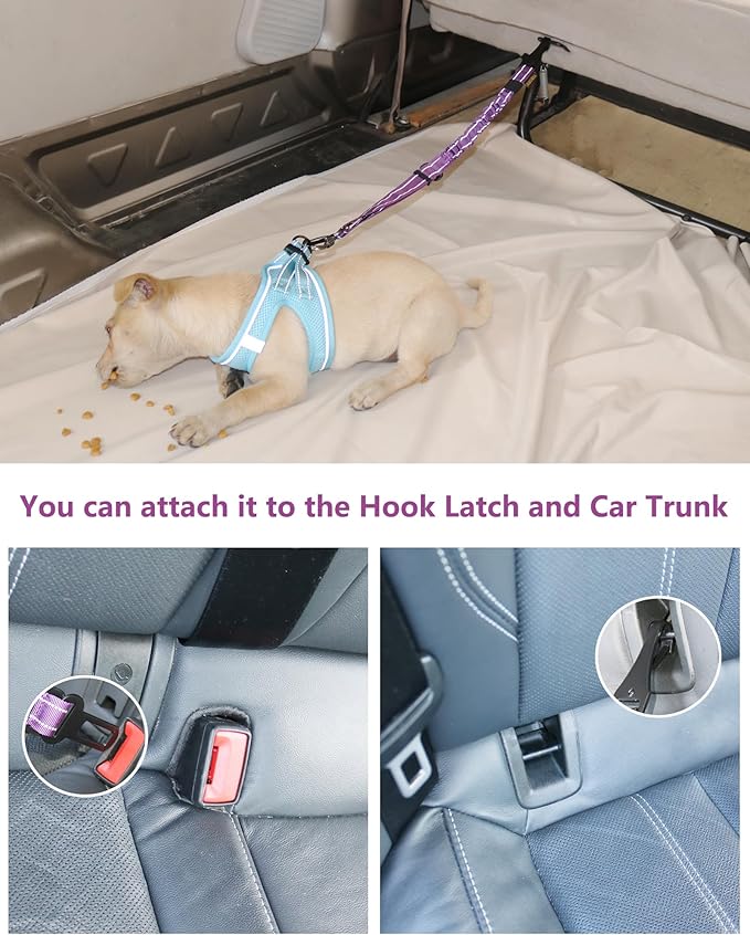 AUBELL Dog Seat Belt for Car,2 Pack Set 3-in-1 Adjustable Reflective Bungee Heavy Duty Dog Car Harness Tether with Clip Hook Latch & Buckle,Swivel Zinc Alloy Carabiner,Black+Purple-PawvioPets