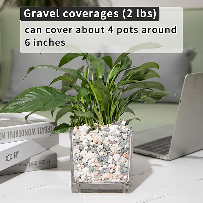 2lb Succulent and Cactus Gravel Pebbles 1/5-3/8 Inch Natural Decorative Polished Stones River Rocks for Plants, Vases, Aquariums, Terrarium and Outdoor Gardening, Mixed Color-PawvioPets