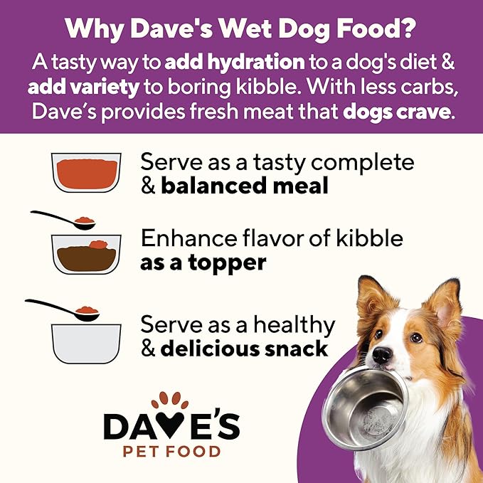 Dave's Pet Food Weight Management Dog Food (Turkey & Vegetables), Made in USA, Weight Loss, Soft, Canned Wet, 13.2oz (12 Pack)-PawvioPets